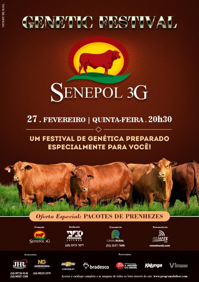 Genetic Festival Senepol 3G