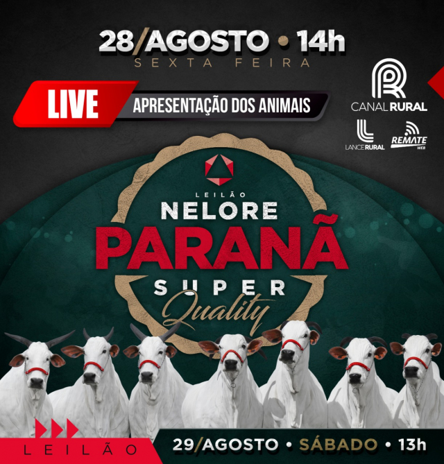 Live Nelore Paranã Super Quality