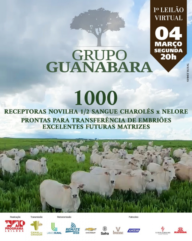 1° Leilão Virtual Grupo Guanabara