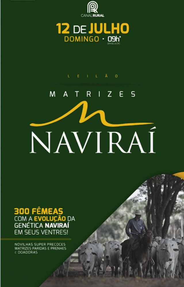 Matrizes Naviraí