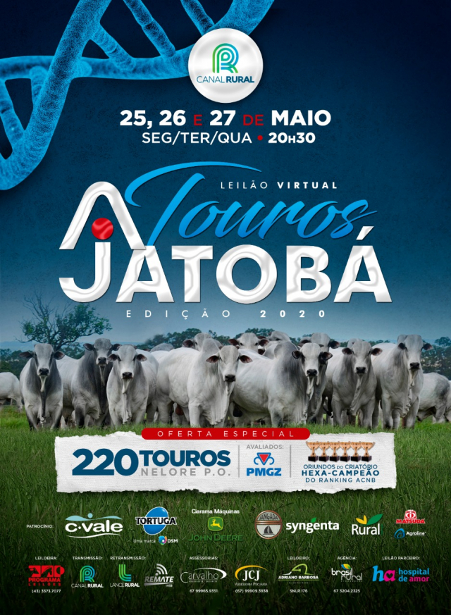 Leilão Virtual Touros Jatobá - 3° etapa