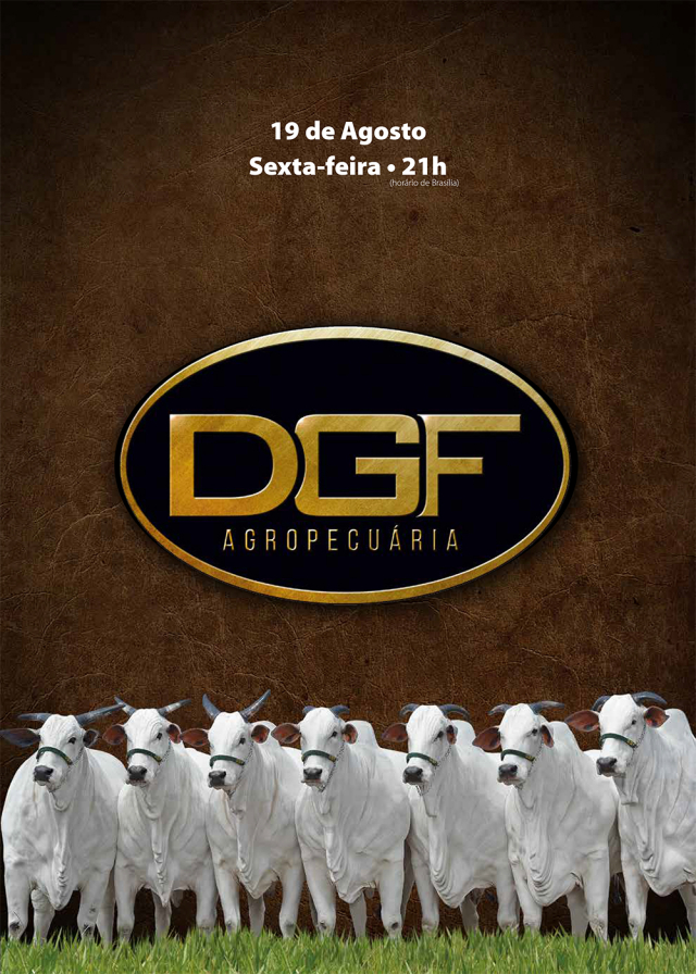 DGF Agropecuária
