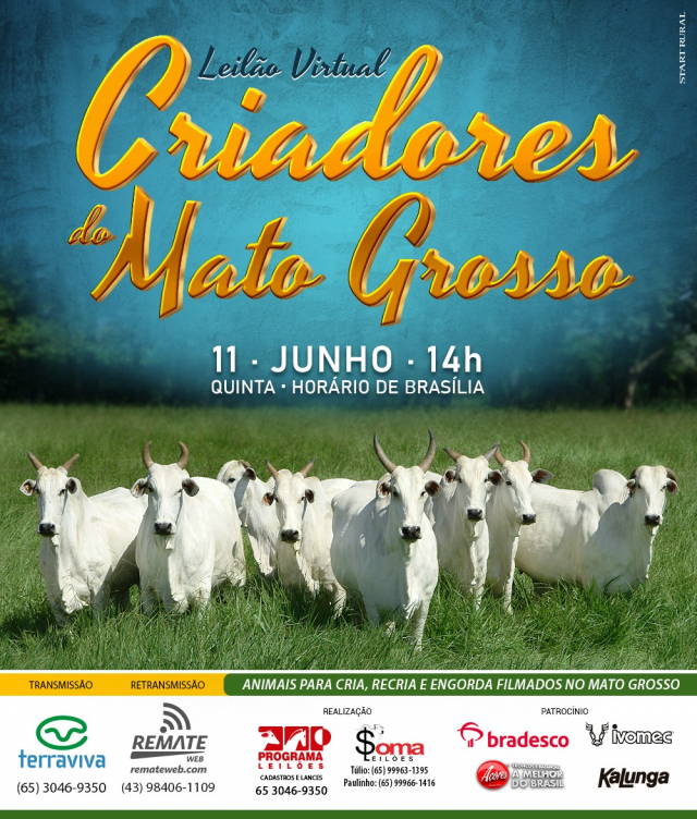 Leilão Virtual Criadores do Mato Grosso