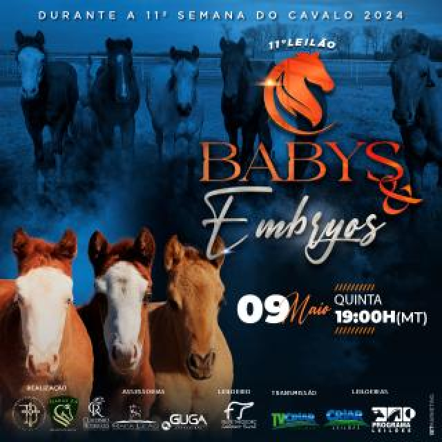 11º Leilão Babys & Embryos