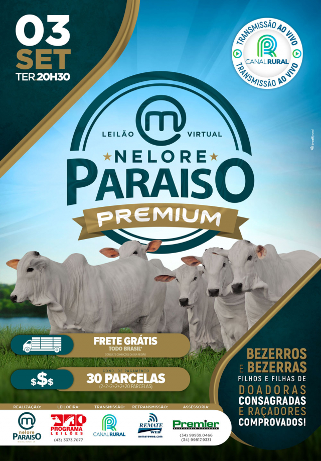 Leilão Virtual Nelore Paraíso Premium