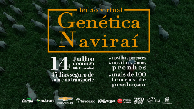 Leilão Virtual Genética Naviraí
