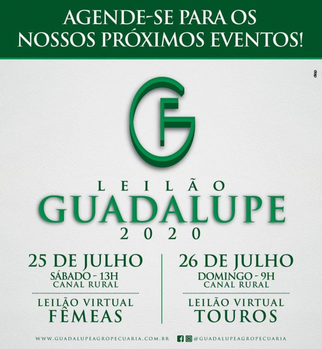 Guadalupe 2020 Touros