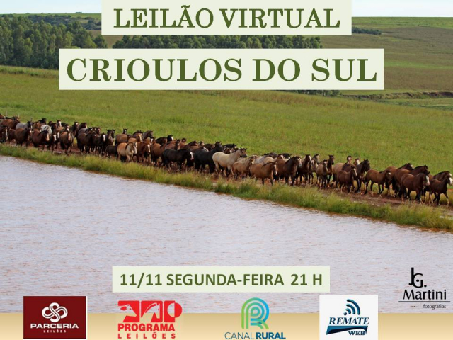 Leilão Virtual Crioulos do Sul