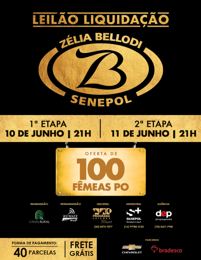 Liquidação Zélia Bellodi Senepol - 2° Etapa