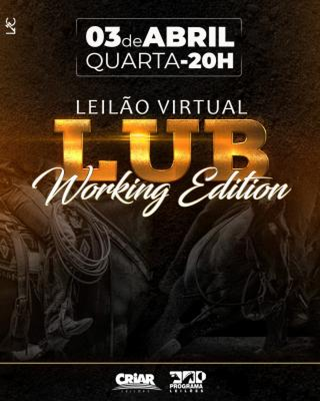 Virtual Lub Working Edition