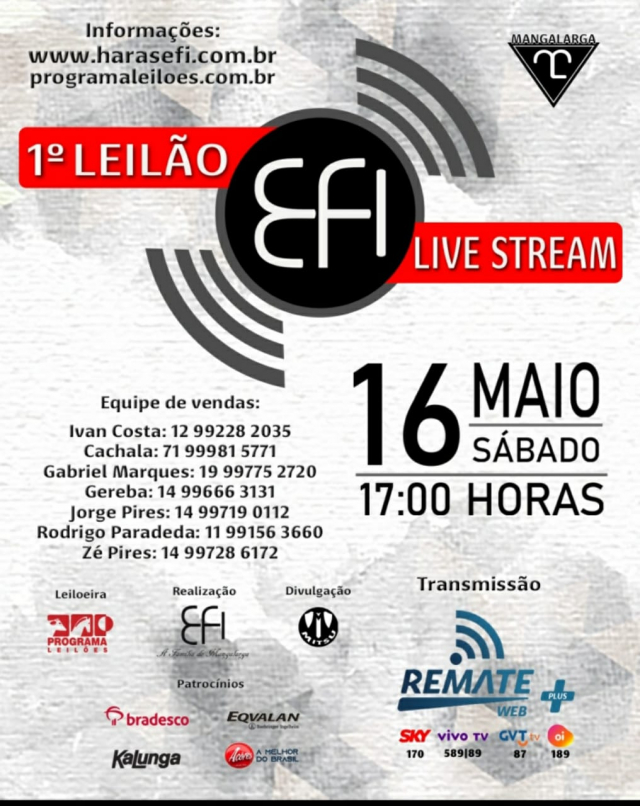 1º Leilão EFI Live Stream
