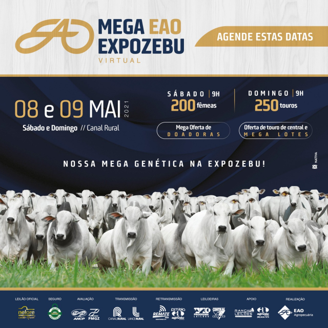 Mega EAO Expozebu Virtual - Fêmeas
