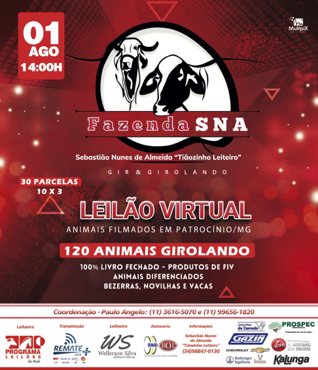 Leilão Virtual Fazenda SNA - Gir & Girolando