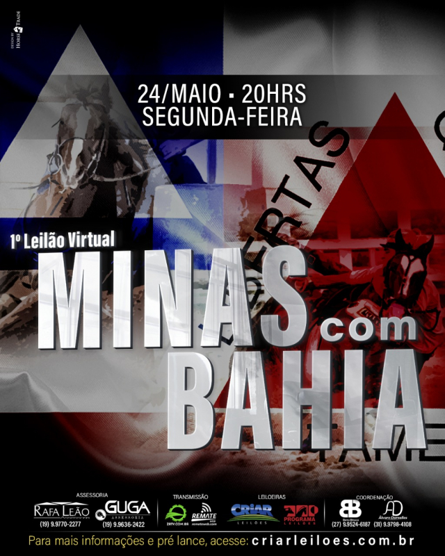 1° Leilão Virtual Minas Com Bahia