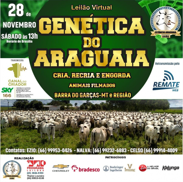 Leilão Virtual Genética do Araguaia