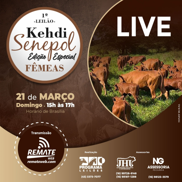 LIVE - 1° Leilão Kehdi Senepol - Edição Especial Fêmeas