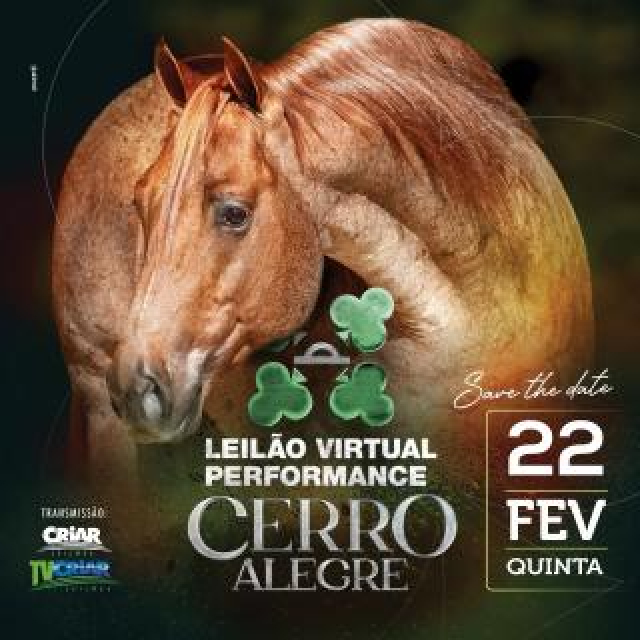 Leilão Virtual Performance Cerro Alegre