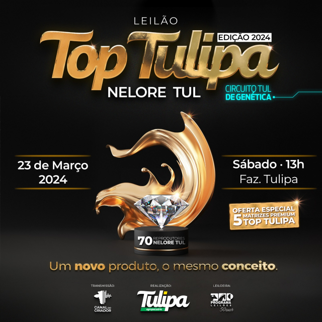 Leilão Top Tulipa - Touros e Fêmeas Nelore PO