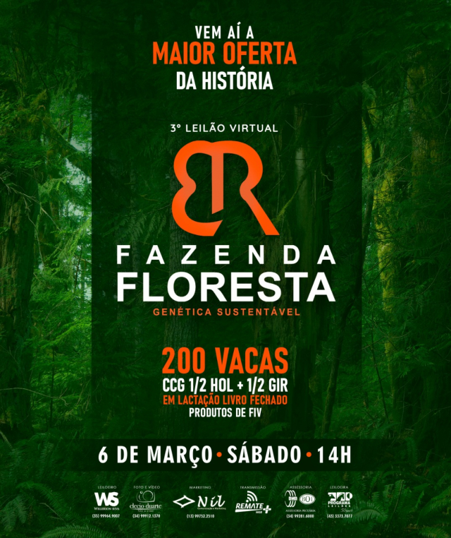 3° Leilão Virtual Fazenda Floresta