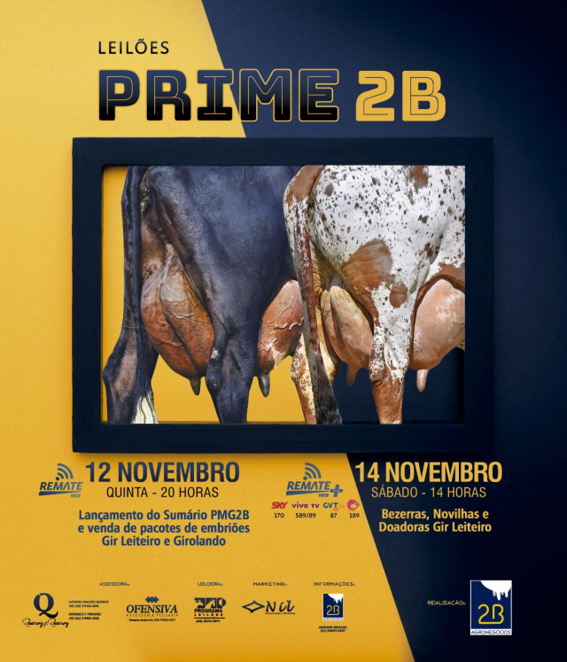 Leilões Prime 2B - Etapa Girolando