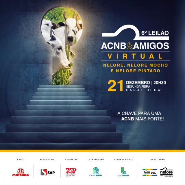 6° Leilão ACNB & Amigos Virtual