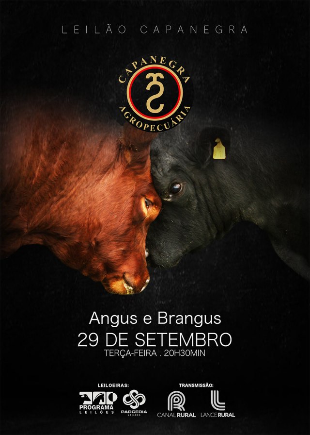 Leilão Capa Negra - Angus & Brangus
