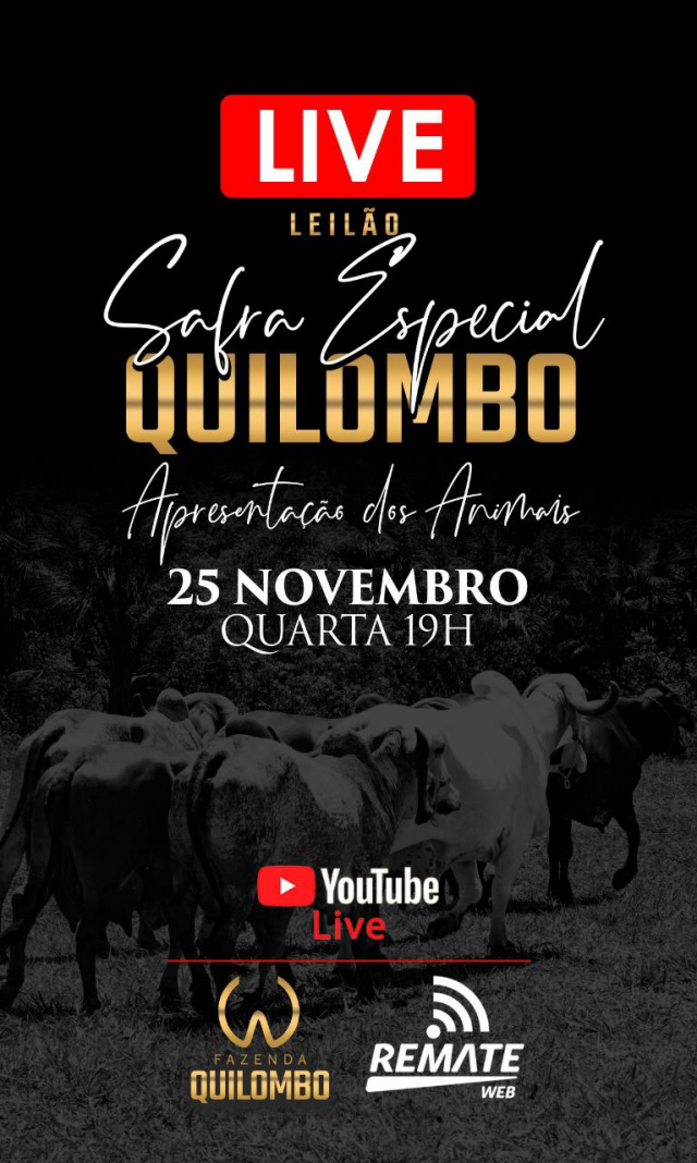LIVE - Leilão Safra Especial Quilombo