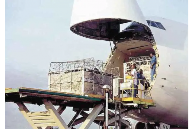 Expansão da exportação: Paquistão recebe boing 747 com 173 bovinos do Brasil